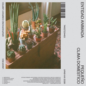 Pequeño clima doméstico