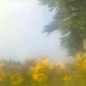 summer 24 bootleg tapes