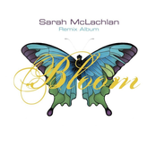 Train Wreck (sly & Robbie Mix) by Sarah Mclachlan