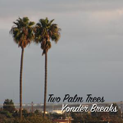 Two Palm Trees