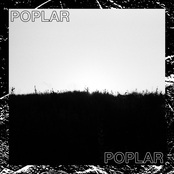 Poplar - Single