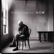 While My Guitar Gently Weeps by Peter Frampton