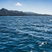 Adultswim Bumpworthy Album Present CvsTheAbstract