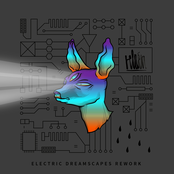 Electric Dreamscapes Rework