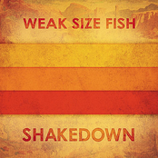 Stax by Weak Size Fish