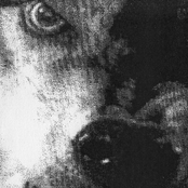 Totaler Winter Und Krieg