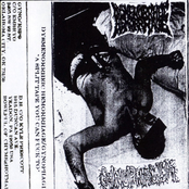 A Split Tape You Can Fuck To