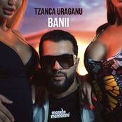 Banii