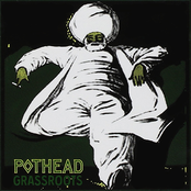 Pothead – Grassroots