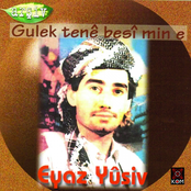 Gulek Tenê Besi Min E