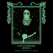 Coniferous Myst: Forest Rehearsal 5.20.19