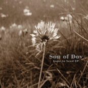 Gone to Seed EP