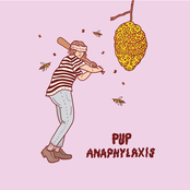 Pup: Anaphylaxis