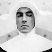 peter cook