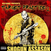 Target Practice 2