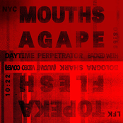 Split w/ Topeka Flesh