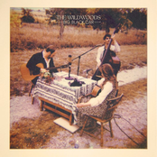 The Wildwoods: Big Black Car (At Home Version)