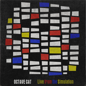 Octave Cat: Live from the Simulation