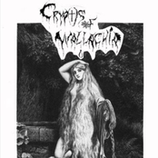 The Witches of Hoia Baciu