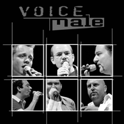 Voice Male