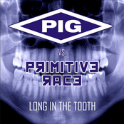 pig vs. primitive race