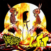 LowFat/Onset of Serious Problems