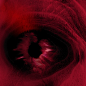 Transformation Chamber