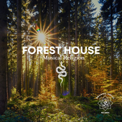 Forest House