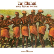 Music Keeps Me Together by Taj Mahal