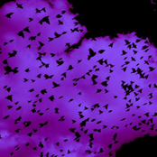 Another Love (Sped Up)