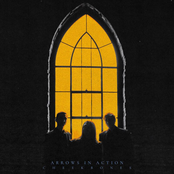 Arrows In Action: Cheekbones