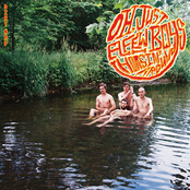 Oh, Just a Few Boys Horsin' Around