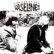 The Way Of The Vaselines - A Complete History