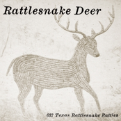 Oklahoma by Rattlesnake Deer