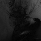 Fevered Screams of Delirium (Demo)