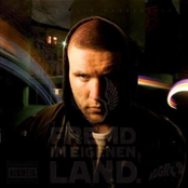 Warum Bist Du So? by Fler