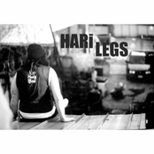 Harilegs