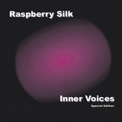 A Different Kind Of Love by Raspberry Silk