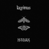 Lagrimas/Habak split