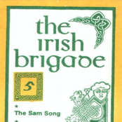 The Irish Brigade, Vol. 5