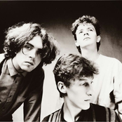 the icicle works