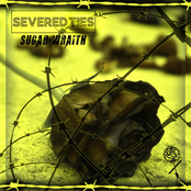 Sugar Wraith - Single