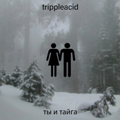 ты и тайга