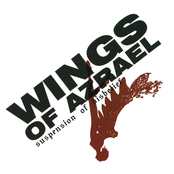 Suspension of Disbelief