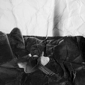 For My Ever-Loving Heart