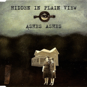 Hidden in Plain View: Ashes Ashes