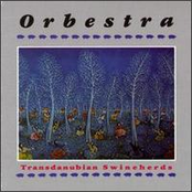 orbestra