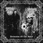 Decimation of the Spirit (Split w/ Nightmare Effigy)