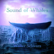 Sound of Whales - Walter Schwarz