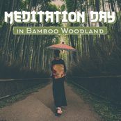 Meditation Day in Bamboo Woodland